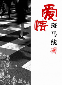 欧美激情精品久久久久久久久久